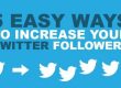 5 Easy Steps to Gain Real Followers on Twitter 